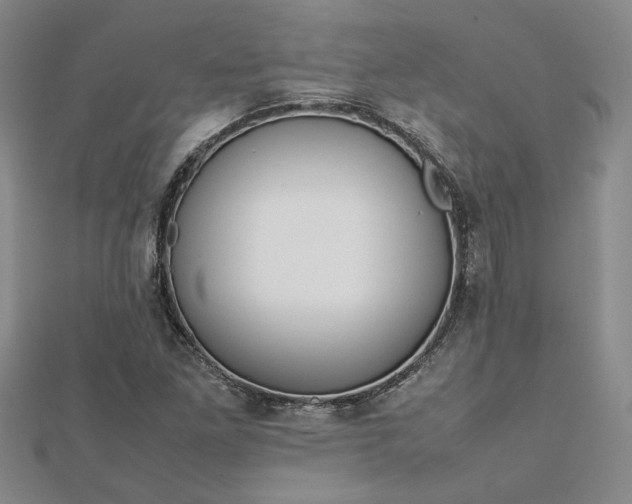 X0000112751261200909031519