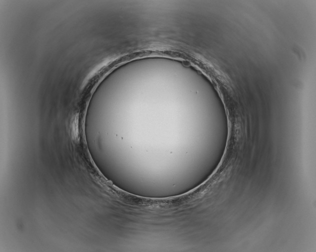 X0000112751262200909031519