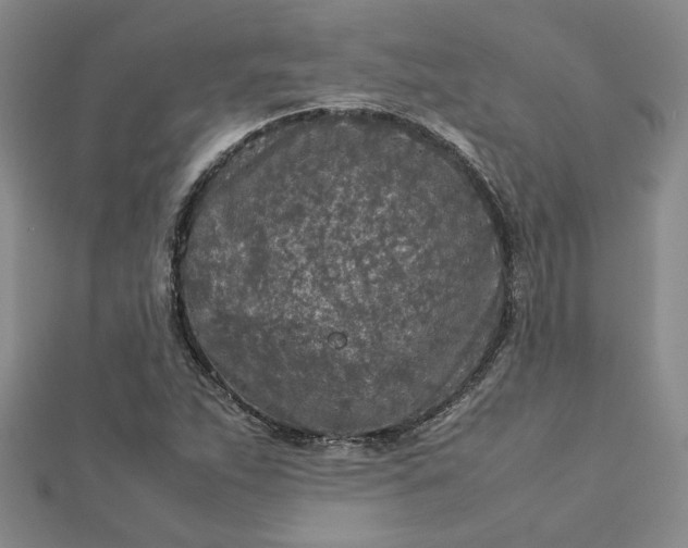 X0000112751263200909031519