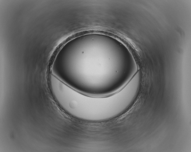 X0000112751264200909031519