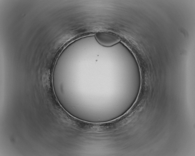 X0000112751265200909031519