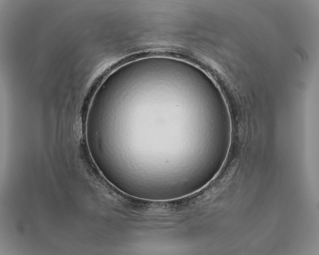 X0000112751267200909031519