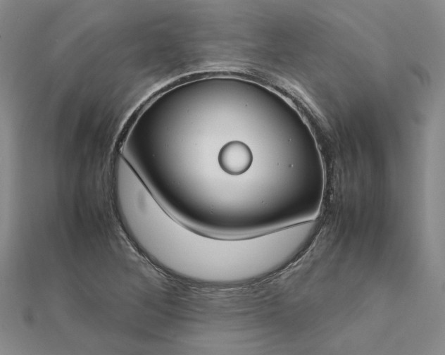 X0000112751268200909031519