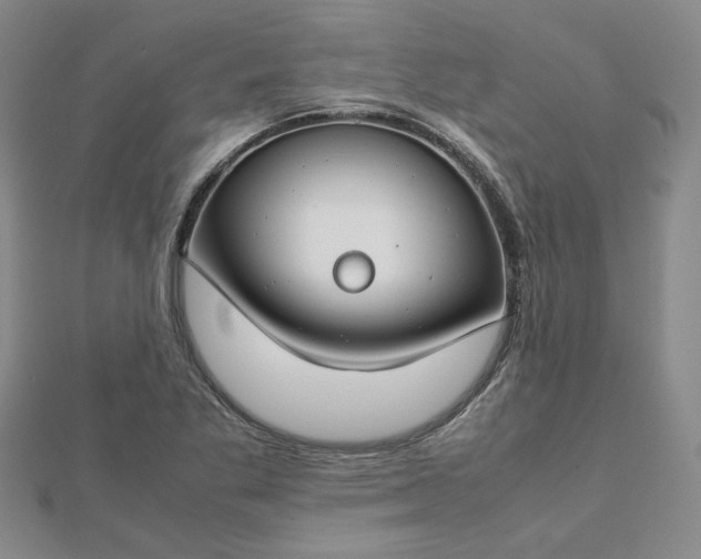 X0000112751269200909031519