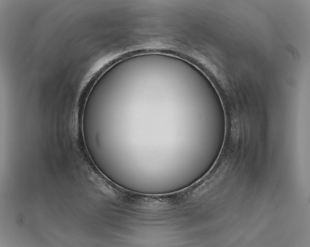 X0000112751270200909031519