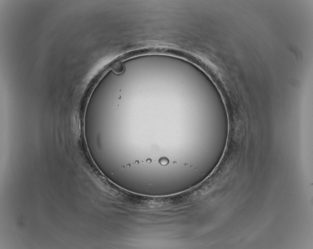 X0000112751271200909031519