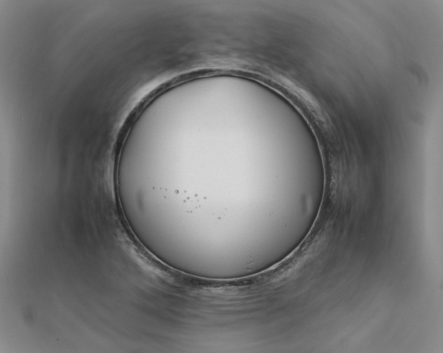 X0000112751272200909031519