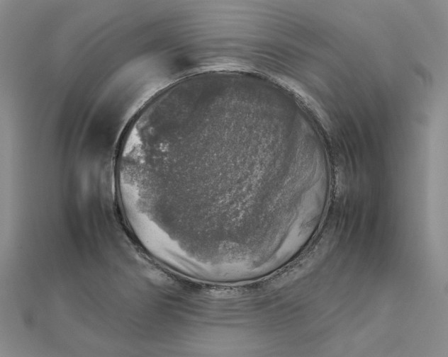 X0000112751274200909031519