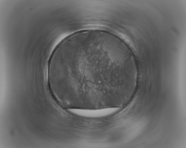 X0000112751275200909031519