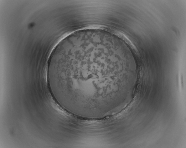 X0000112751276200909031519