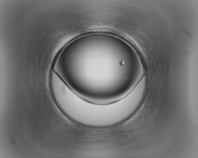 X0000112751277200909031519