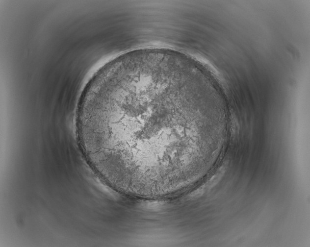 X0000112751278200909031519