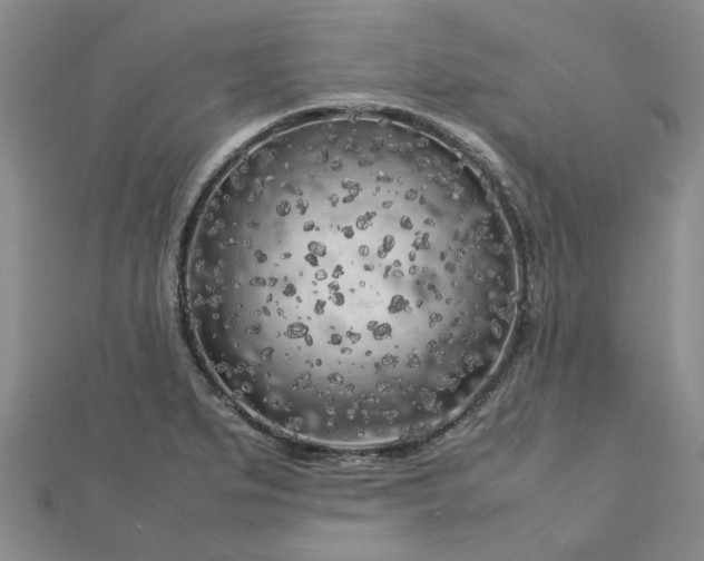 X0000112751279200909031519