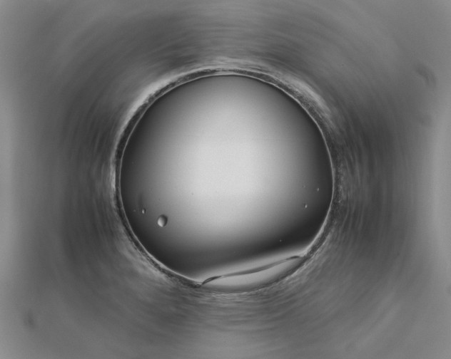 X0000112751280200909031519