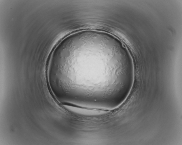 X0000112751283200909031519