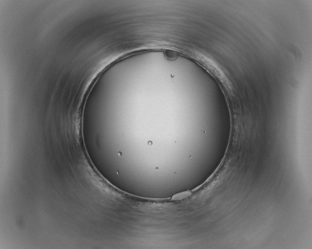 X0000112751284200909031519