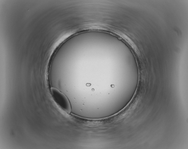 X0000112751285200909031519