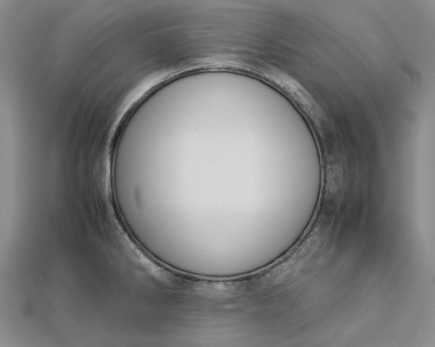 X0000112751286200909031519