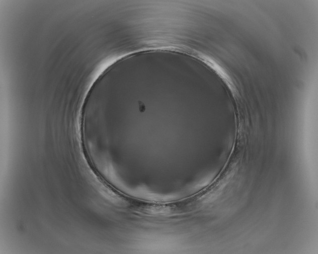 X0000112751291200909031519