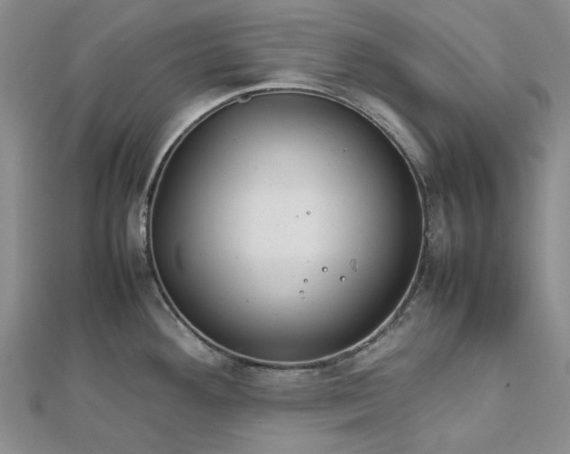 X0000112751292200909031519