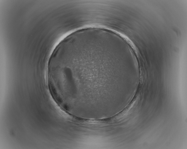 X0000112751295200909031519