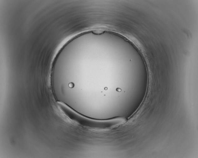 X0000112751296200909031519