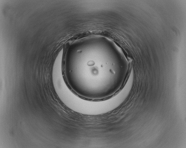 X0000112751298200909031518