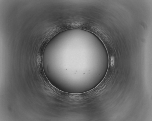 X0000112751299200909031518