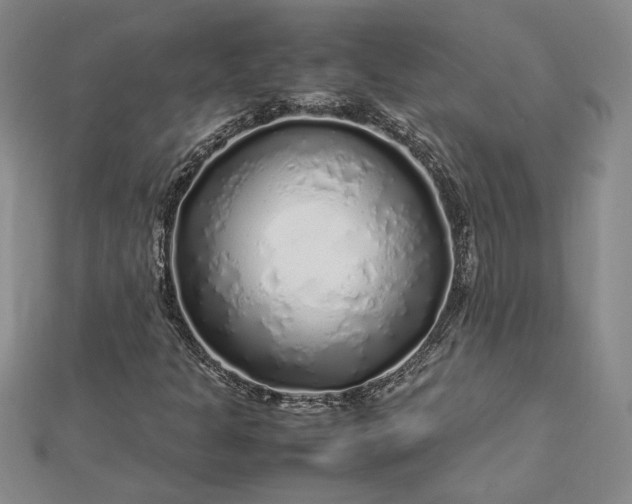 X0000112751301200909031518