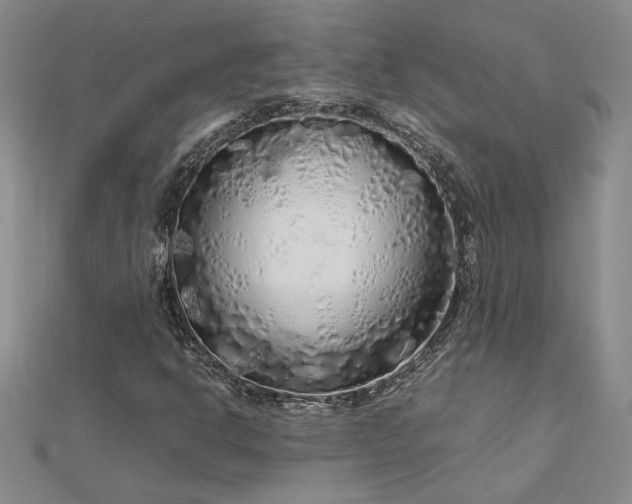 X0000112751302200909031518