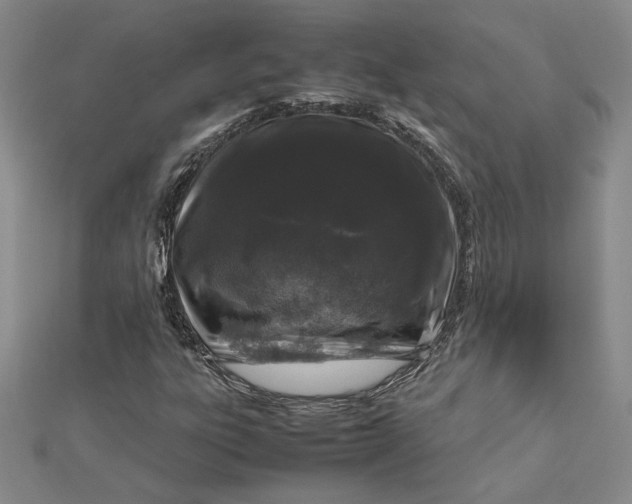 X0000112751303200909031518