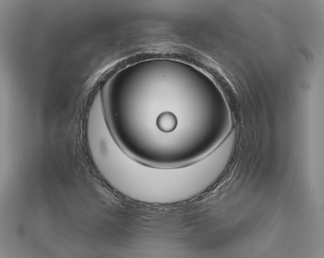 X0000112751304200909031518