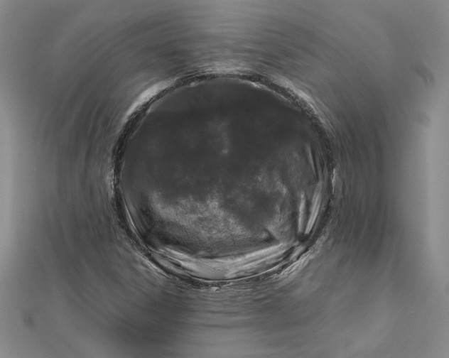 X0000112751306200909031518