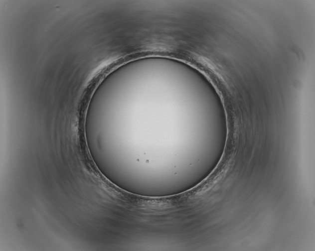 X0000112751307200909031518