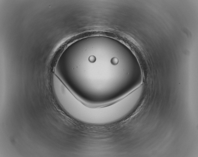 X0000112751310200909031518