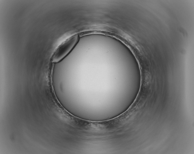 X0000112751312200909031518