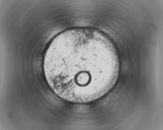 X0000112751314200909031518