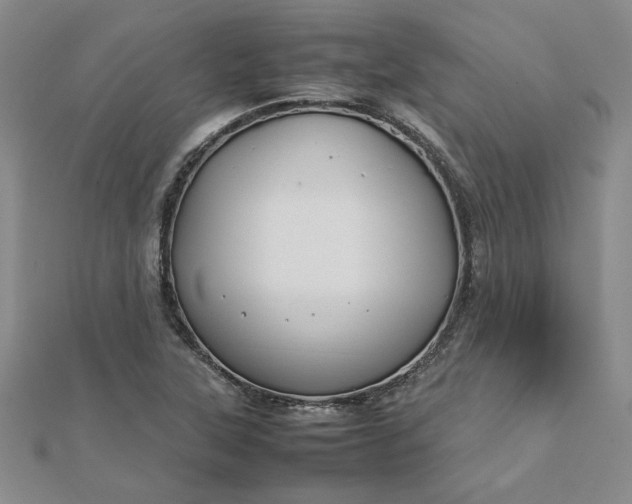 X0000112751315200909031518