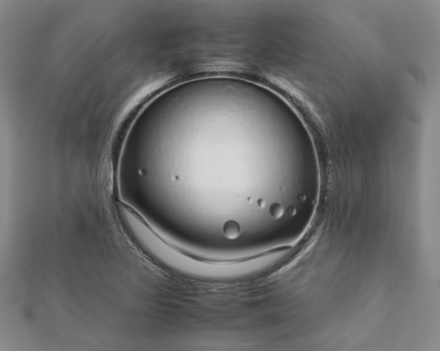 X0000112751317200909031518