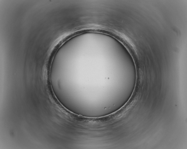 X0000112751318200909031518