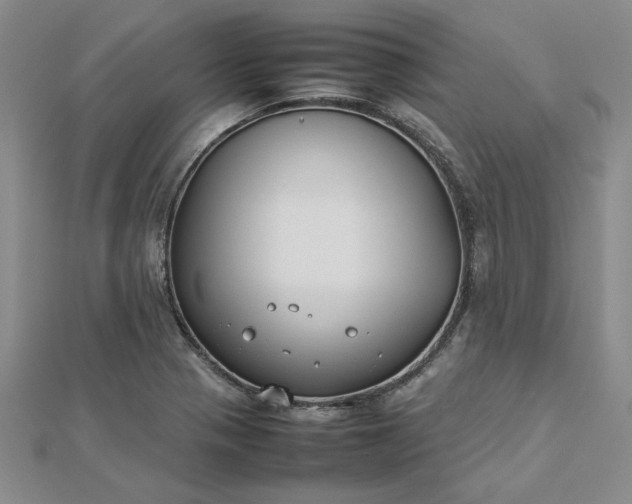 X0000112751321200909031518