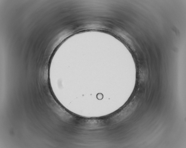 X0000112751322200909031518