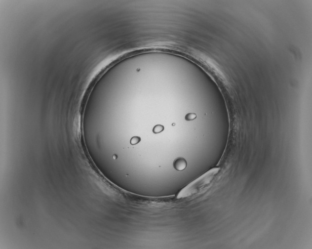 X0000112751324200909031518