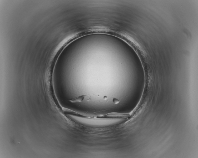 X0000112751325200909031518