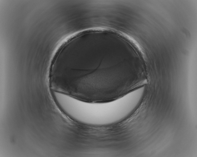 X0000112751327200909031518