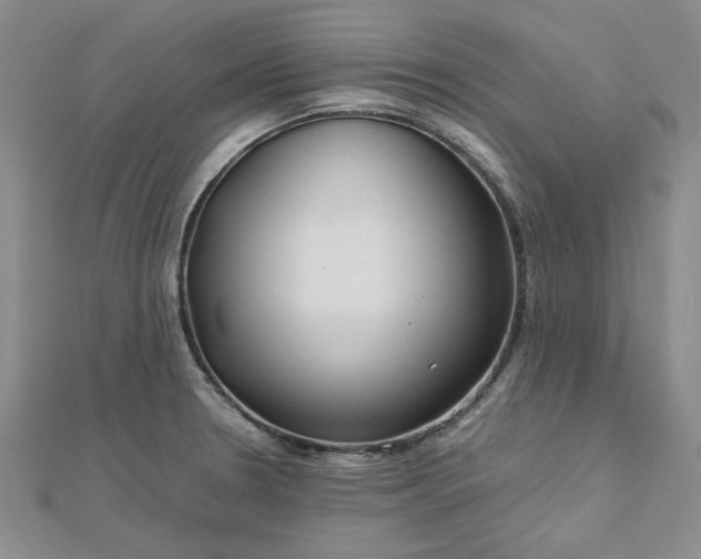 X0000112751330200909031518