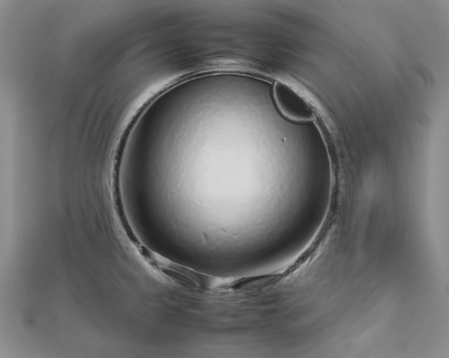 X0000112751333200909031518