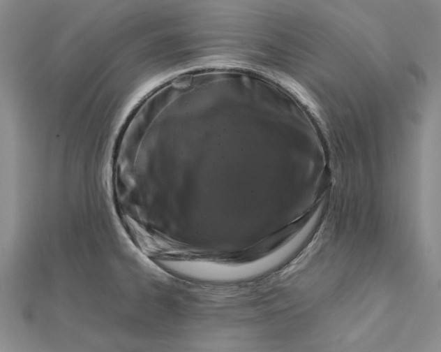 X0000112751334200909031519