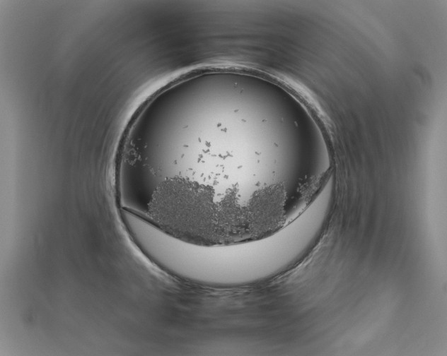 X0000112751335200909031519