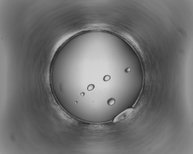 X0000112751336200909031519